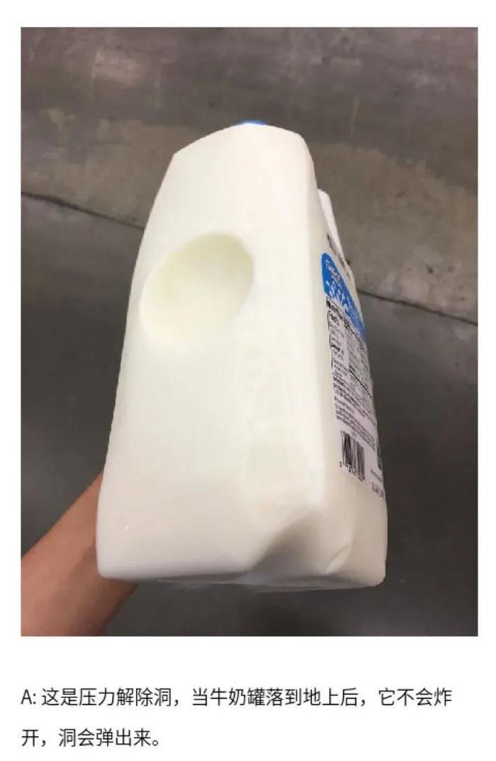 第一次见到「天使」,居然不在天上而是在海里 ......