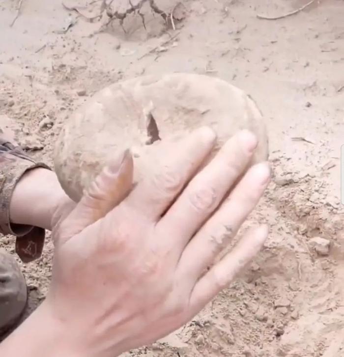 第一次见到「天使」,居然不在天上而是在海里 ......