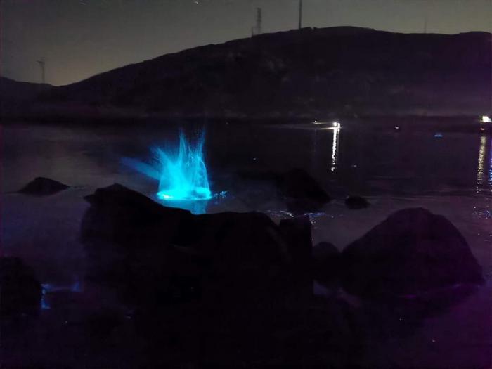 第一次见到「天使」,居然不在天上而是在海里 ......