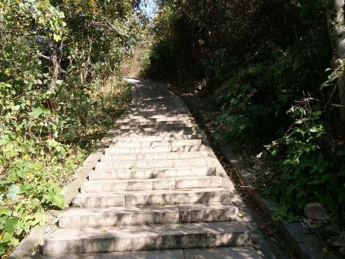 太平天国失败的真正原因，后人一直不知