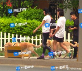 ​张蓝心恋情曝光，张蓝心与导演许宏宇(《喜欢你》)