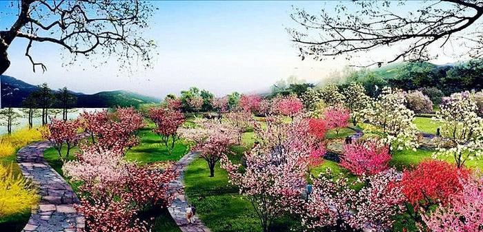 这个公园被称作石家庄最美的公园