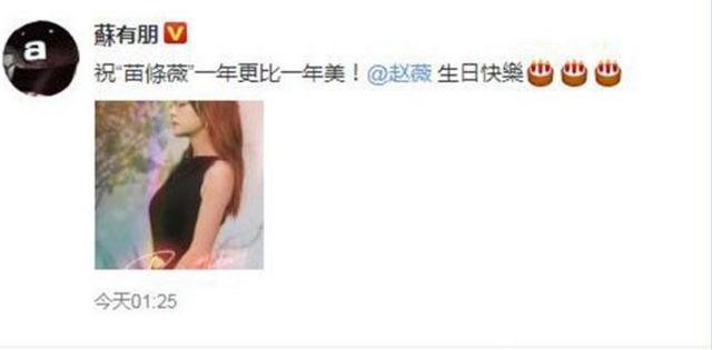 赵薇43岁生日,苏有朋凌晨送祝福,三字称呼显示出他们的关系