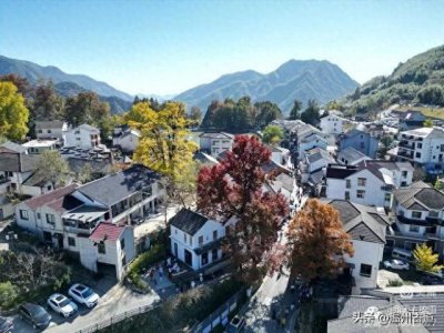 ​这个被誉为浙江最美银杏村的古村落值得你一去！