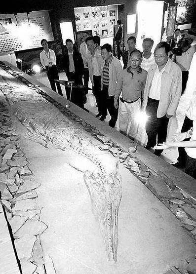 龙真的存在吗?这些证据值得推敲吗?