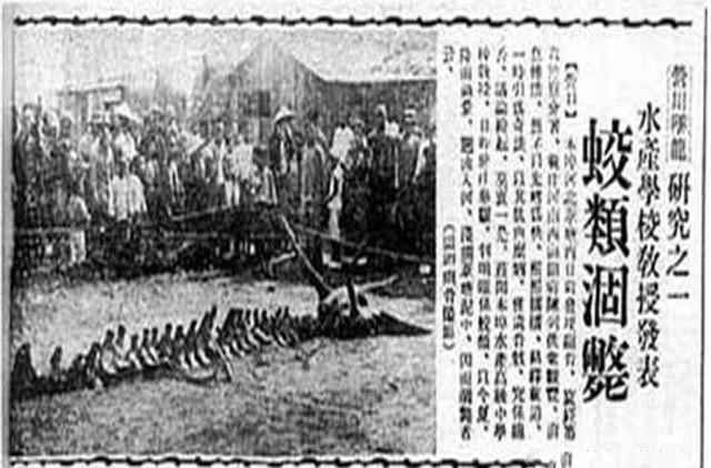 龙真的存在吗?这些证据值得推敲吗?