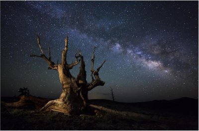 ​金牛座VS天蝎座， 能最终在一起吗？ 很准!