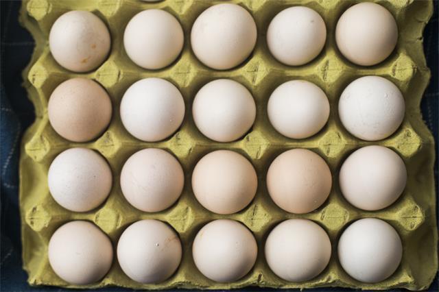 北京昌平芝华士草莓采摘园,草莓采摘冬天里的小幸运