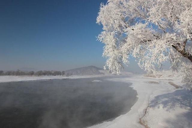 小鸡炖蘑菇：品读东北人难忘的味道！