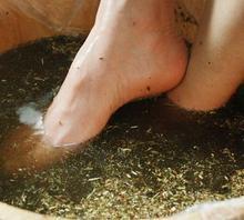 她每天坚持用艾草泡脚，不到一个月身体发生了奇妙的转变！