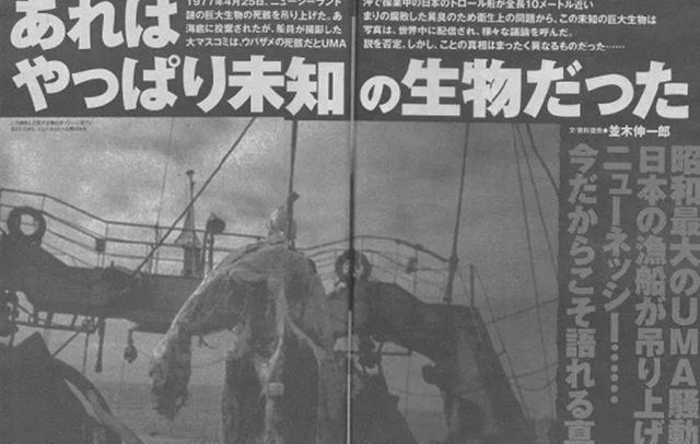 日本渔船捕获神秘怪兽尸体，却因船长一个举动，成无解之谜