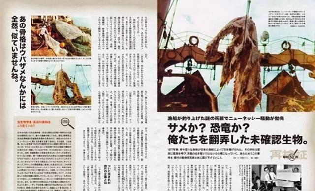 日本渔船捕获神秘怪兽尸体，却因船长一个举动，成无解之谜