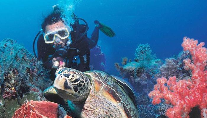 泰国最大的岛, 也是泰国最小的府, 有