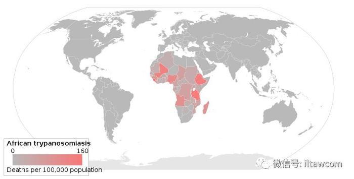 昏睡病与采采蝇