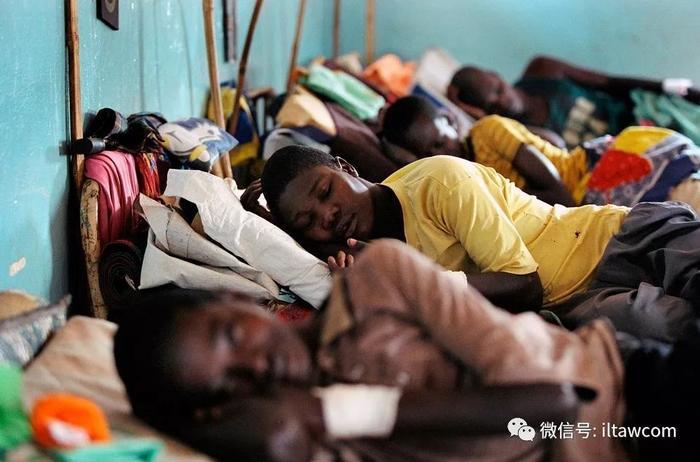 昏睡病与采采蝇