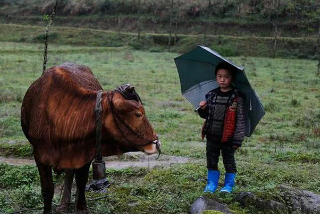 湖北被认为是“最穷”的四个县，不在黄冈，也不在孝感