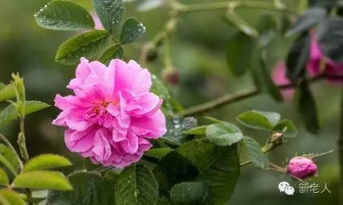 § 经典二胡名曲100首，太难得了，百听不厌~