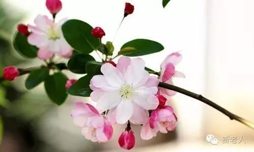 § 经典二胡名曲100首，太难得了，百听不厌~