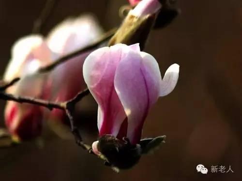 § 经典二胡名曲100首，太难得了，百听不厌~