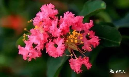 § 经典二胡名曲100首，太难得了，百听不厌~