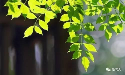 § 经典二胡名曲100首，太难得了，百听不厌~