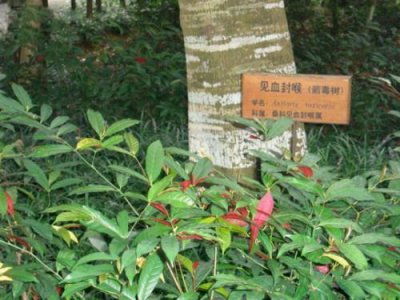 ​盘点古代的十大剧毒，你能认识几种？