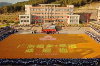 ​世界上最大的水果拼图，面积达2200平方米