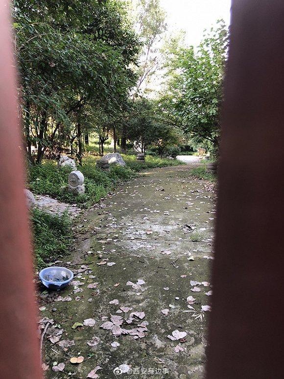 秦岭单体最大违建别墅案宣判:狗舍面积77㎡,两建造人缓刑