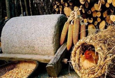 ​镜头下的80年代照片：图1独特的鸡窝，最后一个是全村的蝈蝈吧！