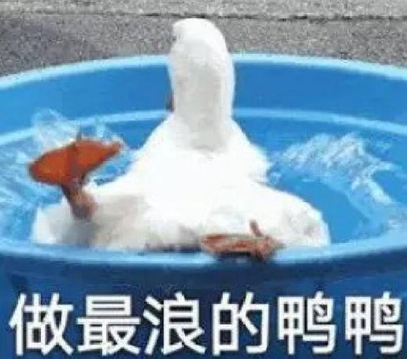 天庥飞雁、coco有银、大娇赵鲲……你还在等什么？