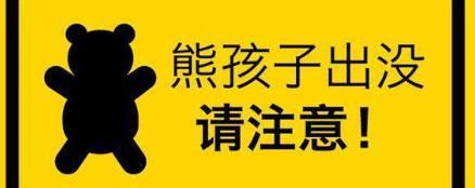 天庥飞雁、coco有银、大娇赵鲲……你还在等什么？