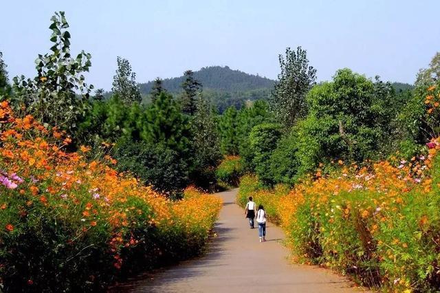 中国第一个国际慢城桠溪，不到桠溪，不知优哉悠哉慢生活的乐趣！