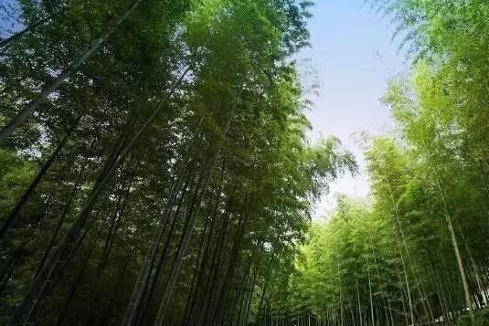 中国第一个国际慢城桠溪，不到桠溪，不知优哉悠哉慢生活的乐趣！