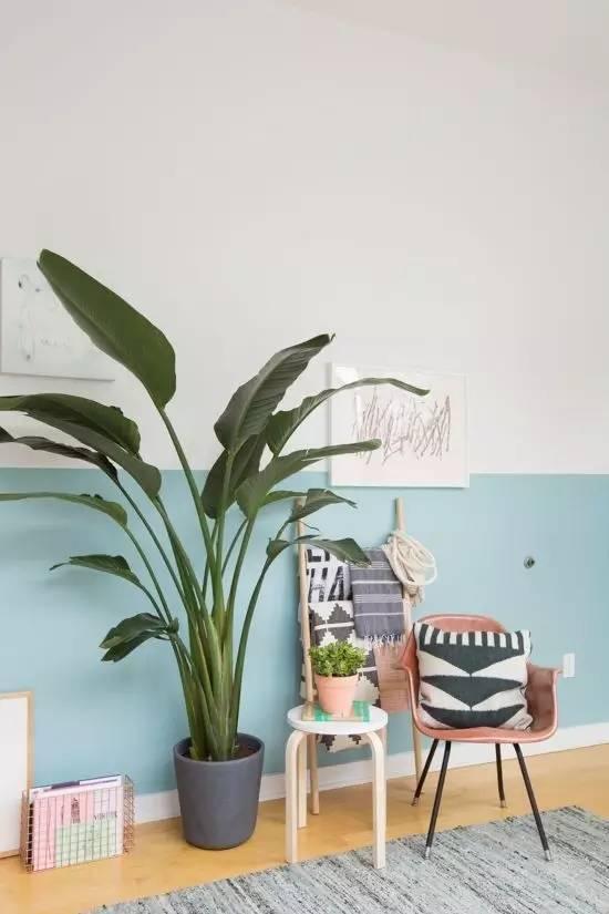 49款墙裙案例，找到你家的吗？