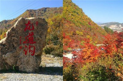 ​秋天忘不掉的龙道沟，还有辽东小桂林，有山有水有枫林