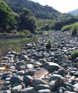 ​千万别轻易去捡石头，否则很容易像他们一样！切记！