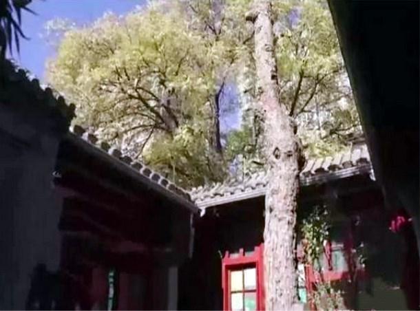 都知道李晨是红三代，可谁知他连家底也这么厚，厉害了