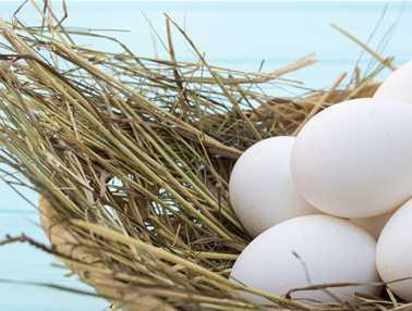 如何使用蒸蛋器