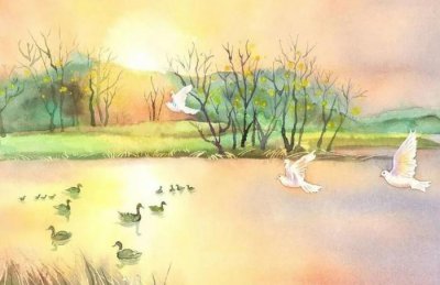 ​如何运用数字能量学八大磁场之间的相互搭配作用!