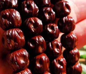 ​紫金鼠如何盘玩？