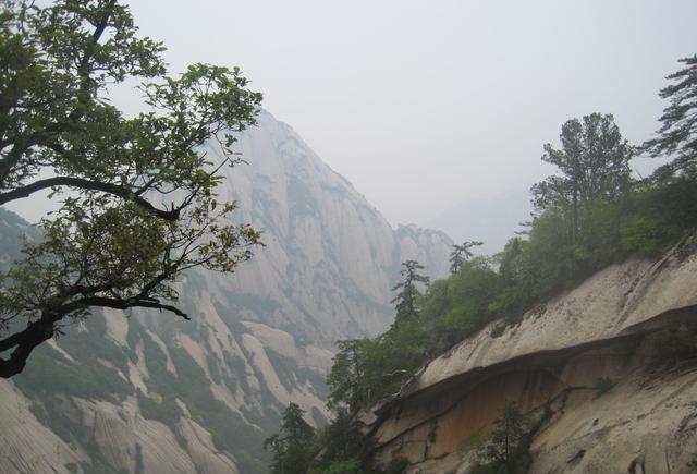 如果萧峰与阿紫没死——天龙八部后传大猜想5——牧马放羊