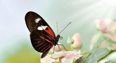 ​真正强大的人，都很低调！低调是一种修养！