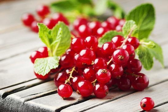 这果子酸酸甜甜，样子像红灯笼，家里种一颗，串串果子吃不完