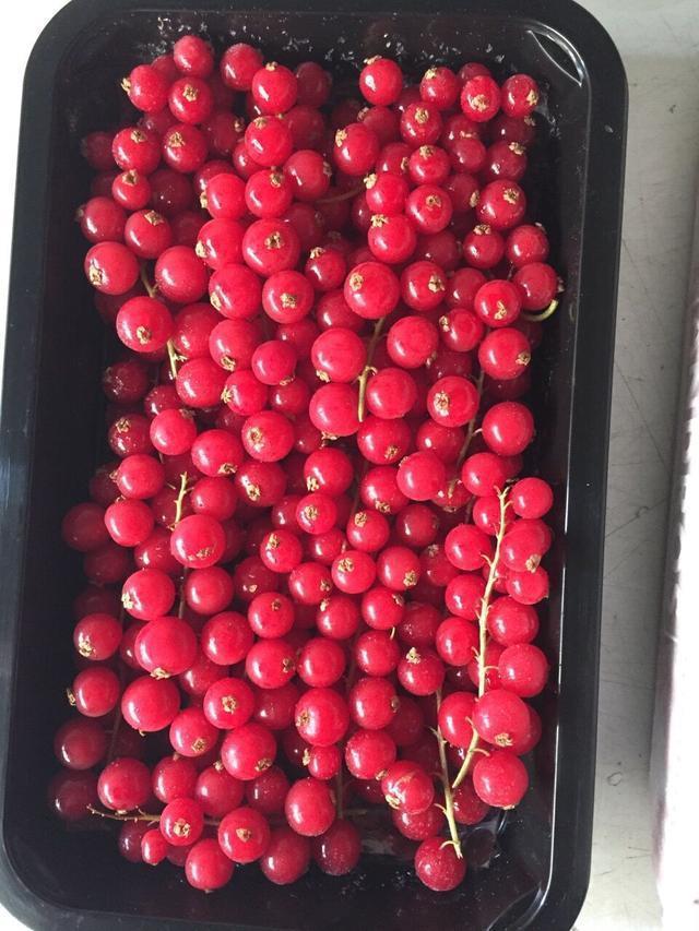 这果子酸酸甜甜，样子像红灯笼，家里种一颗，串串果子吃不完