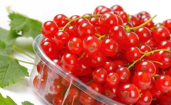 这果子酸酸甜甜，样子像红灯笼，家里种一颗，串串果子吃不完