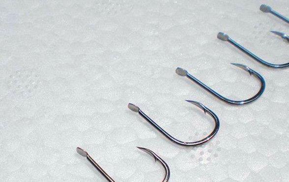 原来野钓黑鱼这么简单？看老钓友钓黑鱼只需要这几步轻松擒大黑鱼