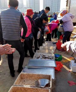 ​婆婆赶滨海大集满大集的鱼让人看了走不动 婆婆称活到60岁没见过