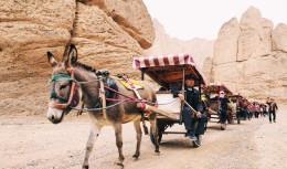 国家地质公园-黄河石林：沧海桑田，铸就西北一抹柔情