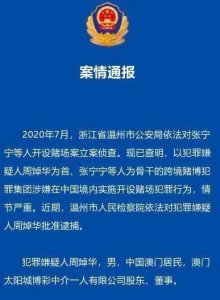 ​赌场大亨洗米华被批准逮捕！曾经近百亿的资产，如今只剩七千万