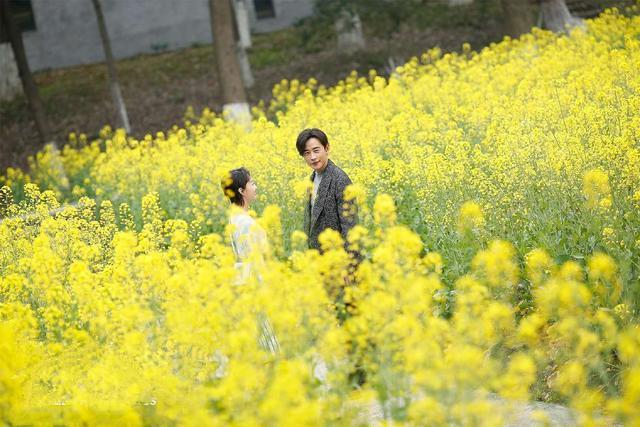 幕后之王29-30集:布小谷遭遇炸弹威胁,辛惠美因失聪崩溃